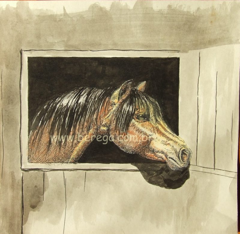 Desenho de cabeça de cavalo em cocheira